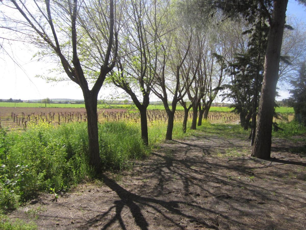 Casa Finca Rural La Huerta Almagro Extérieur photo